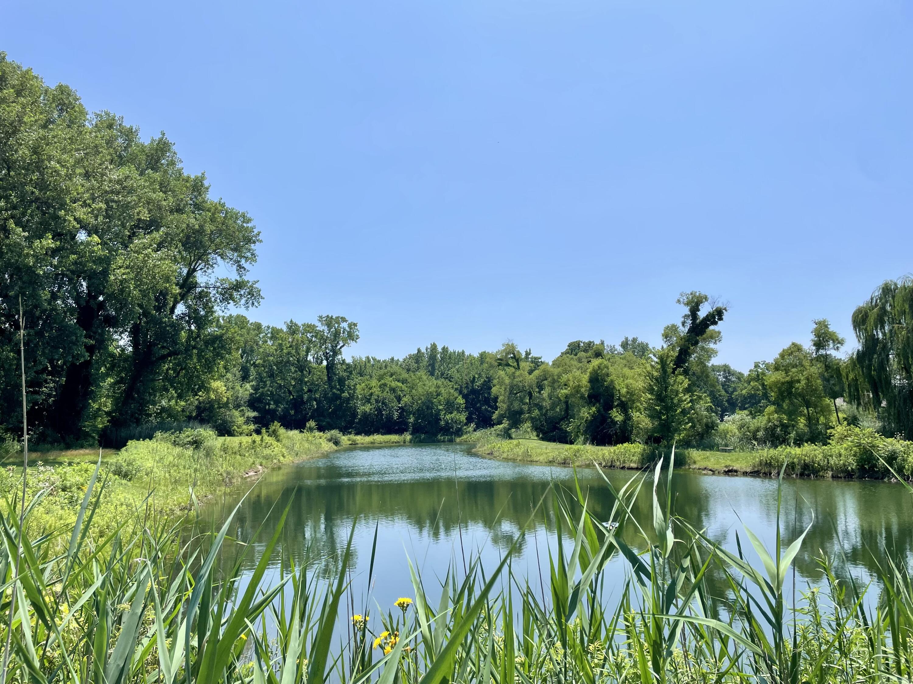 286 Overlook Court, Valparaiso, IN 46385; Image #48