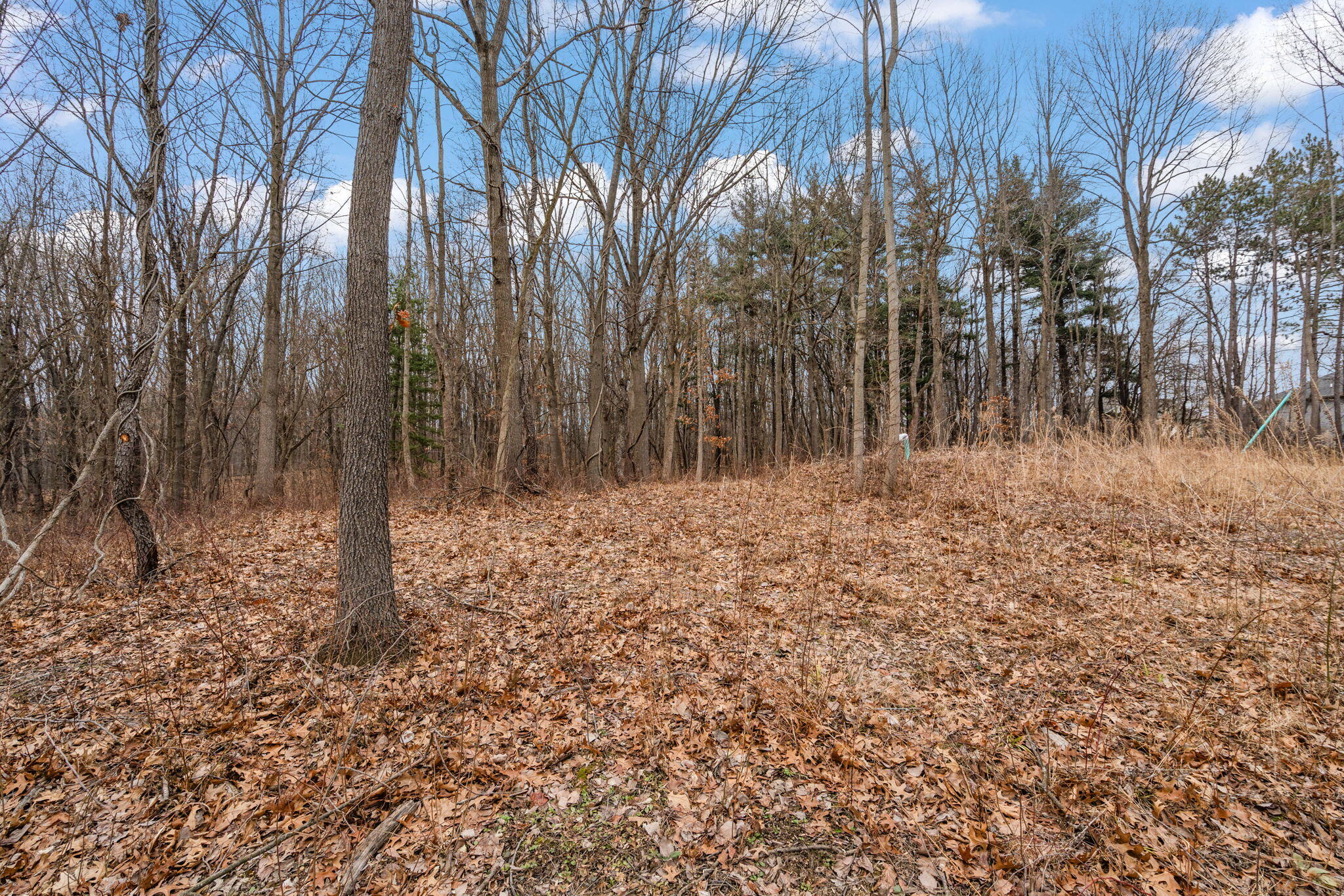 151 County Rd 350 W, Valparaiso, IN 46385; Image #91