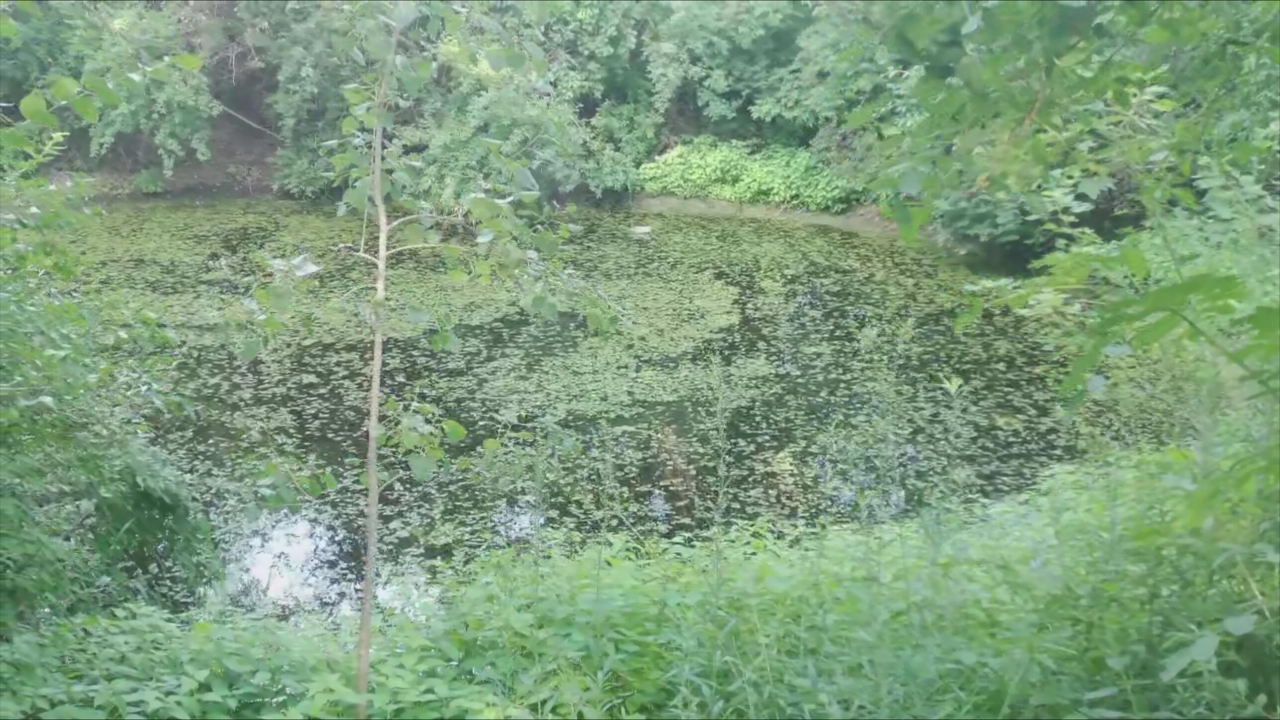 688 County Road 1100 S, Wolcott, IN 47995; Image #36