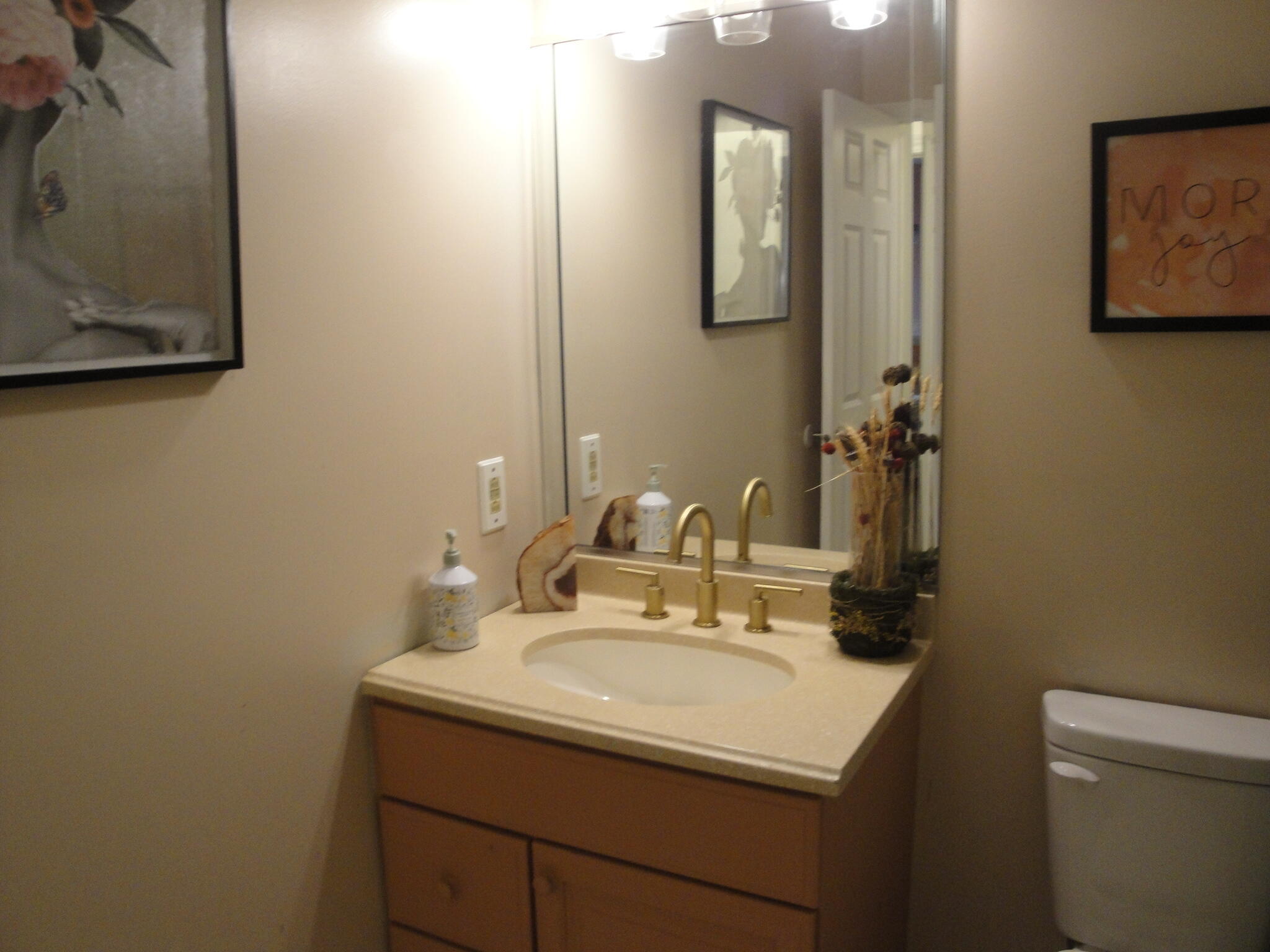 40 Heather Court, Schererville, IN 46375; Image #16