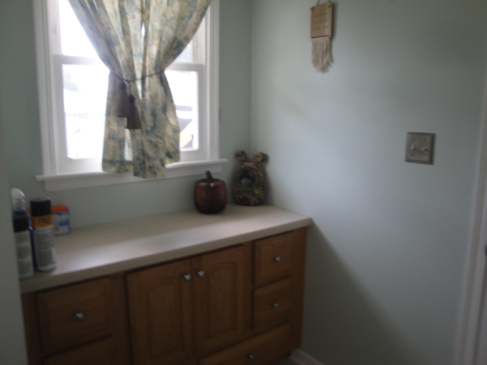 40 Heather Court, Schererville, IN 46375; Image #21