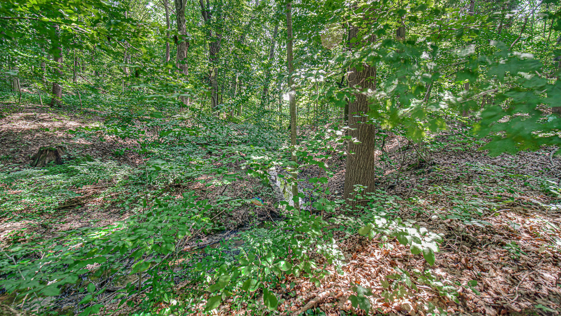 8948 N 500 E, Rolling Prairie, IN 46371; Image #23