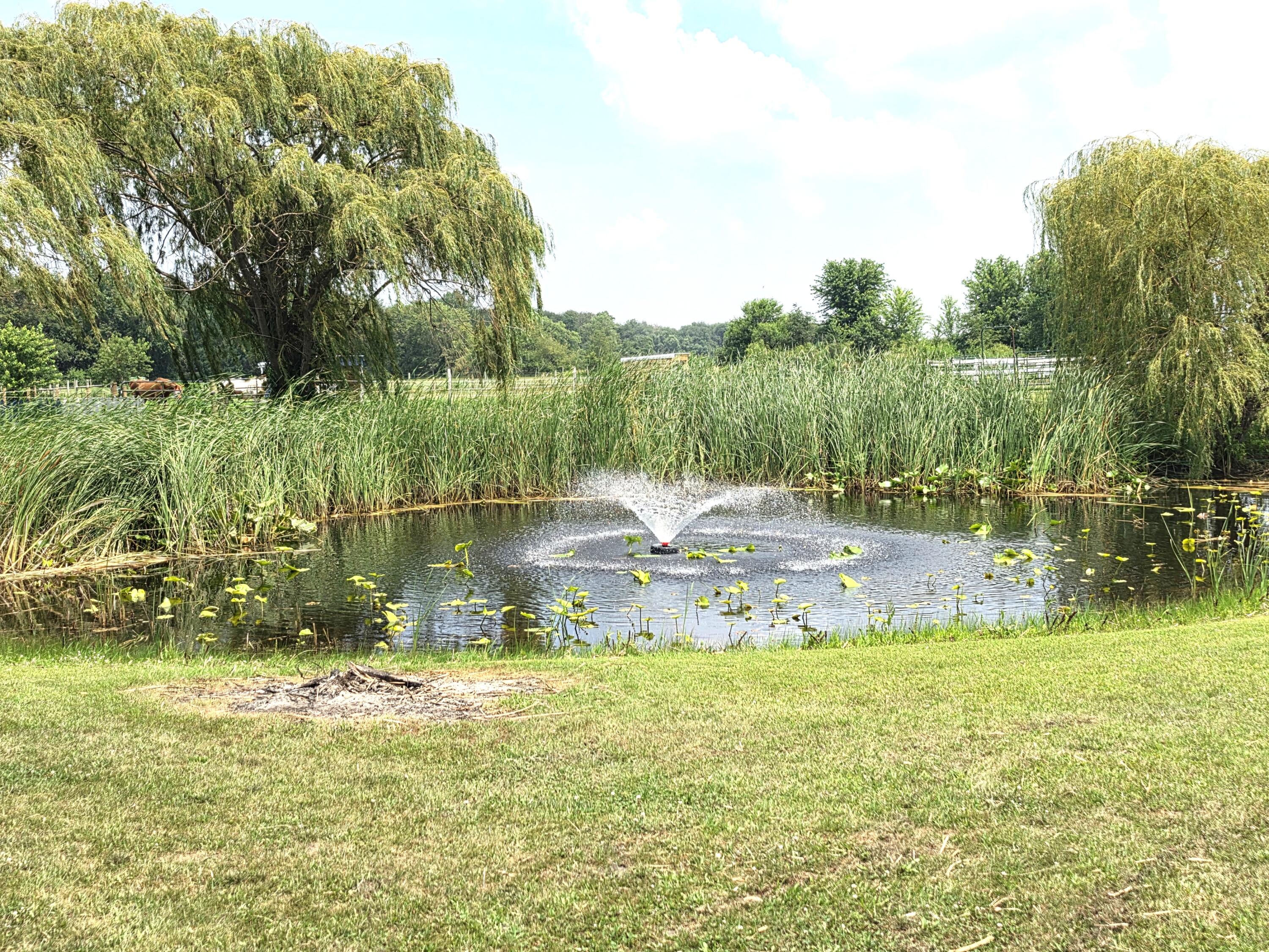 7161 N 1200 W, Fair Oaks, IN 47943; Image #48