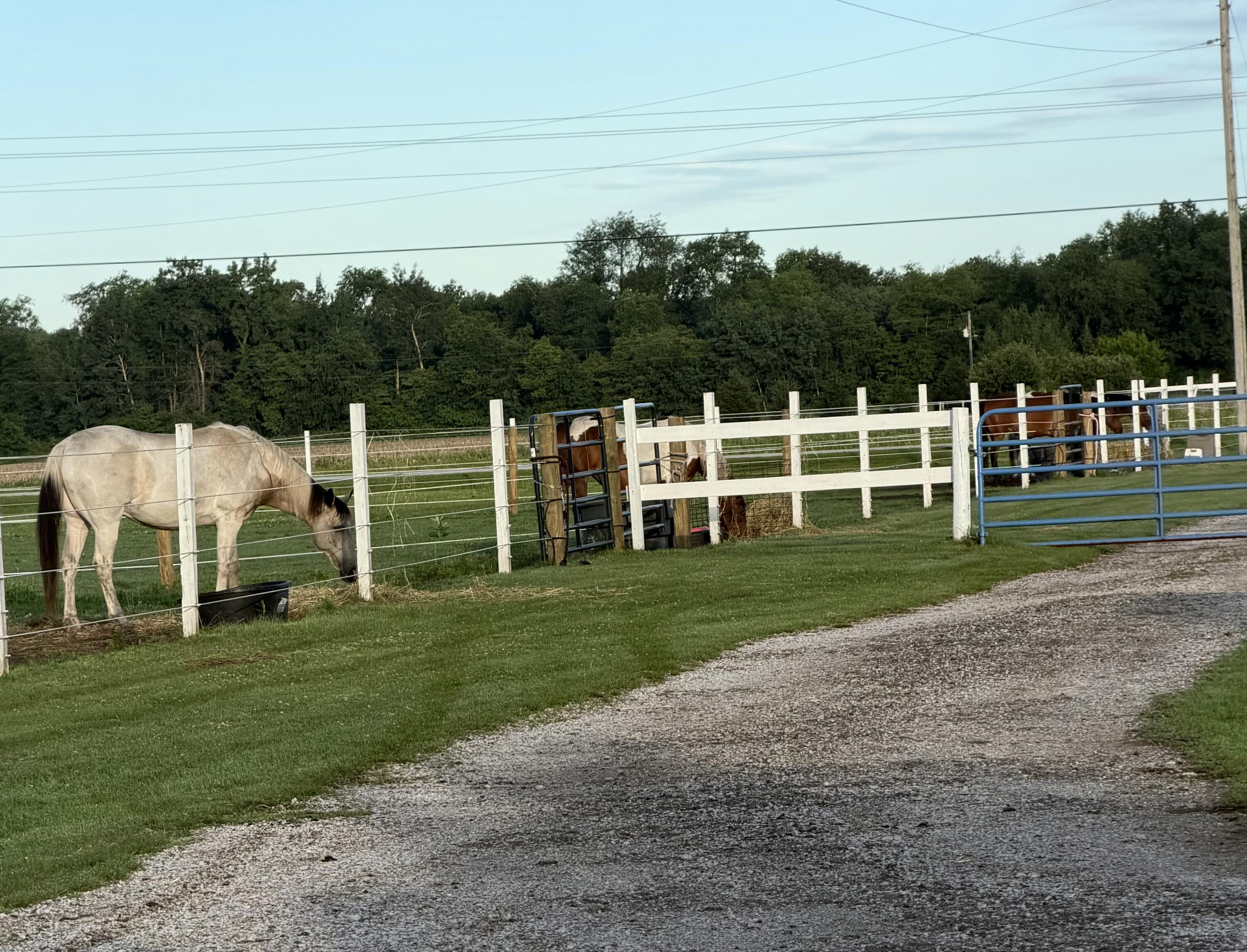 7161 N 1200 W, Fair Oaks, IN 47943; Image #59