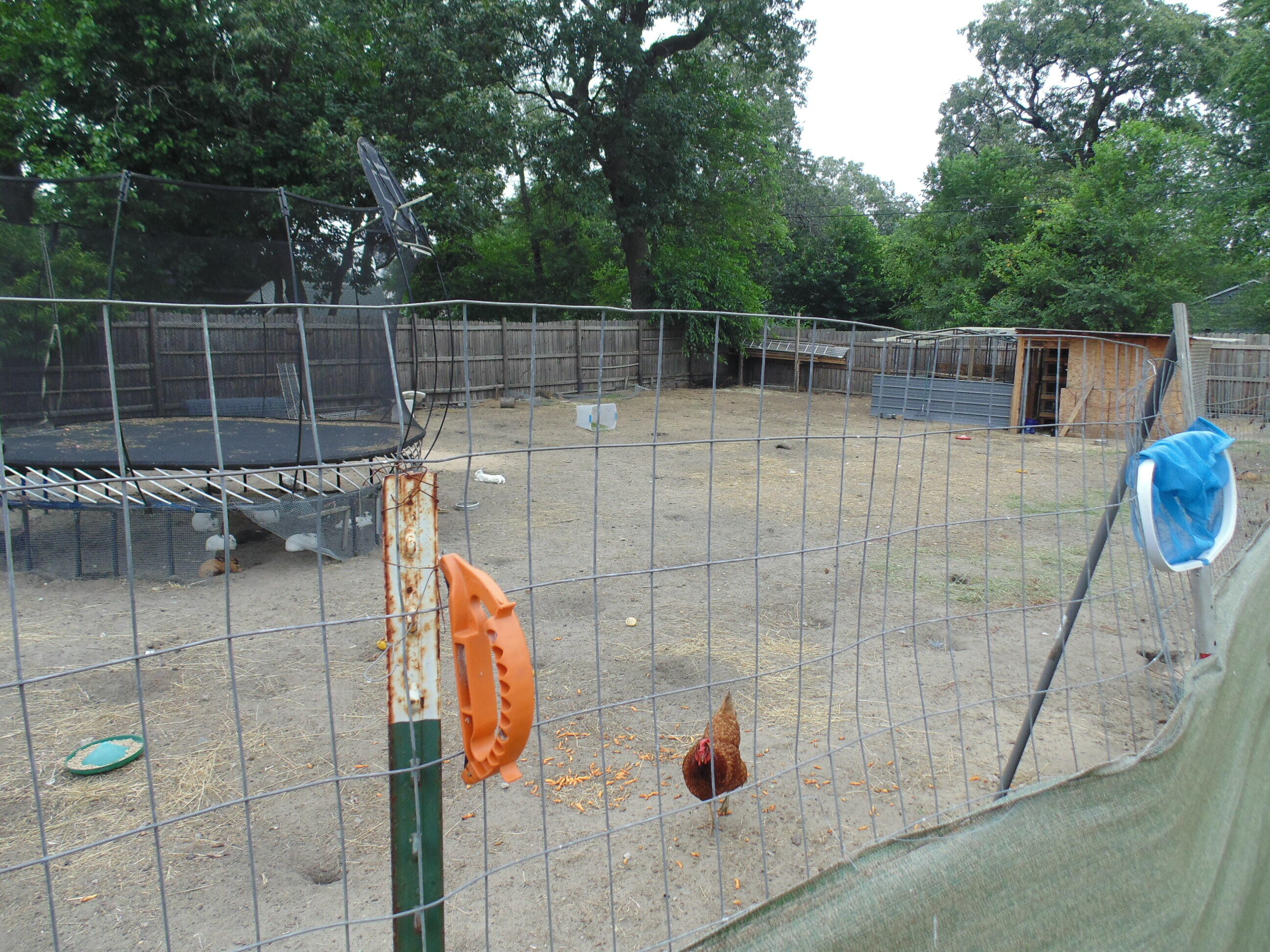 3653 Iowa Street, Lake Station, IN 46405; Image #35