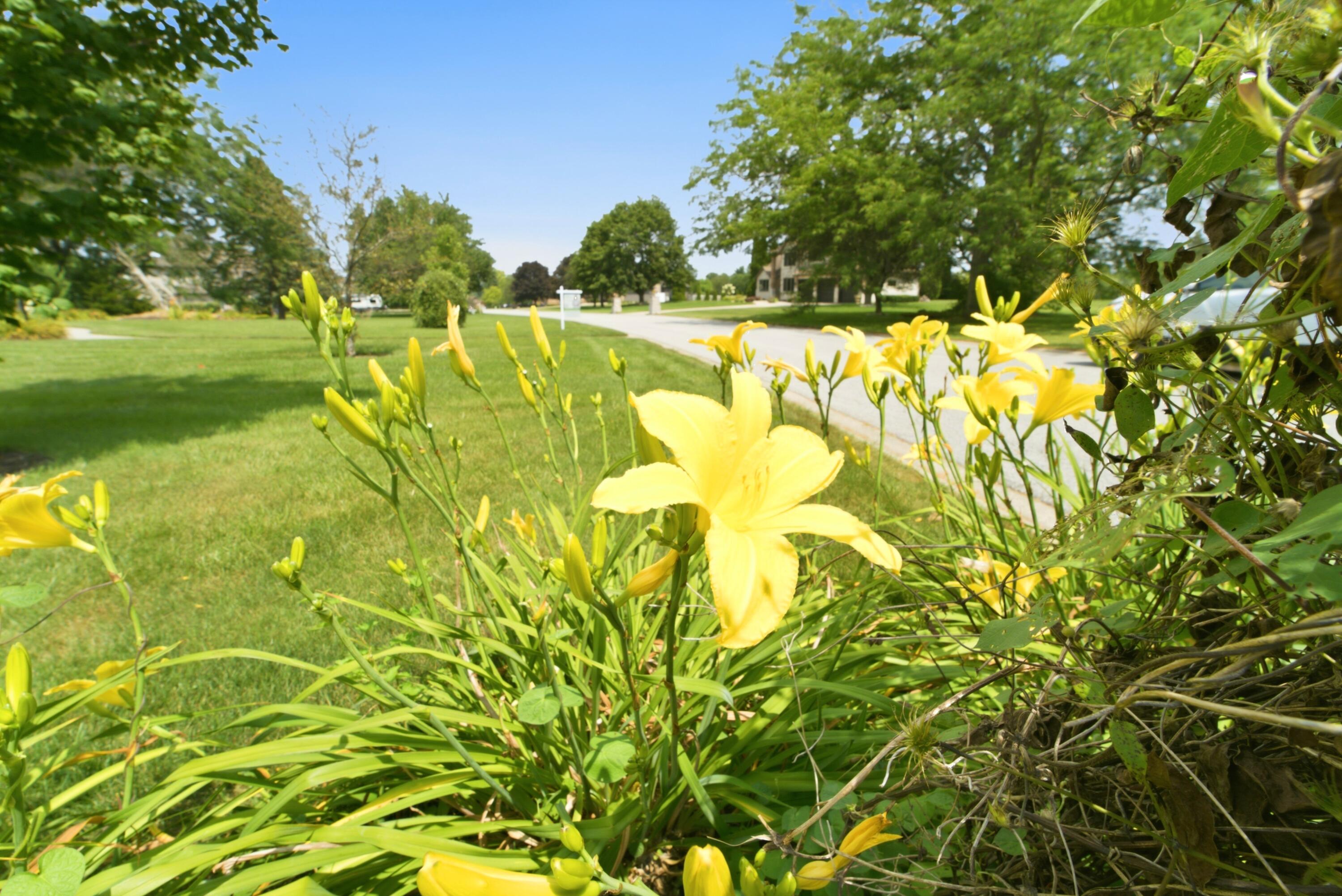 5794 E 107th Place, Crown Point, IN 46307; Image #16