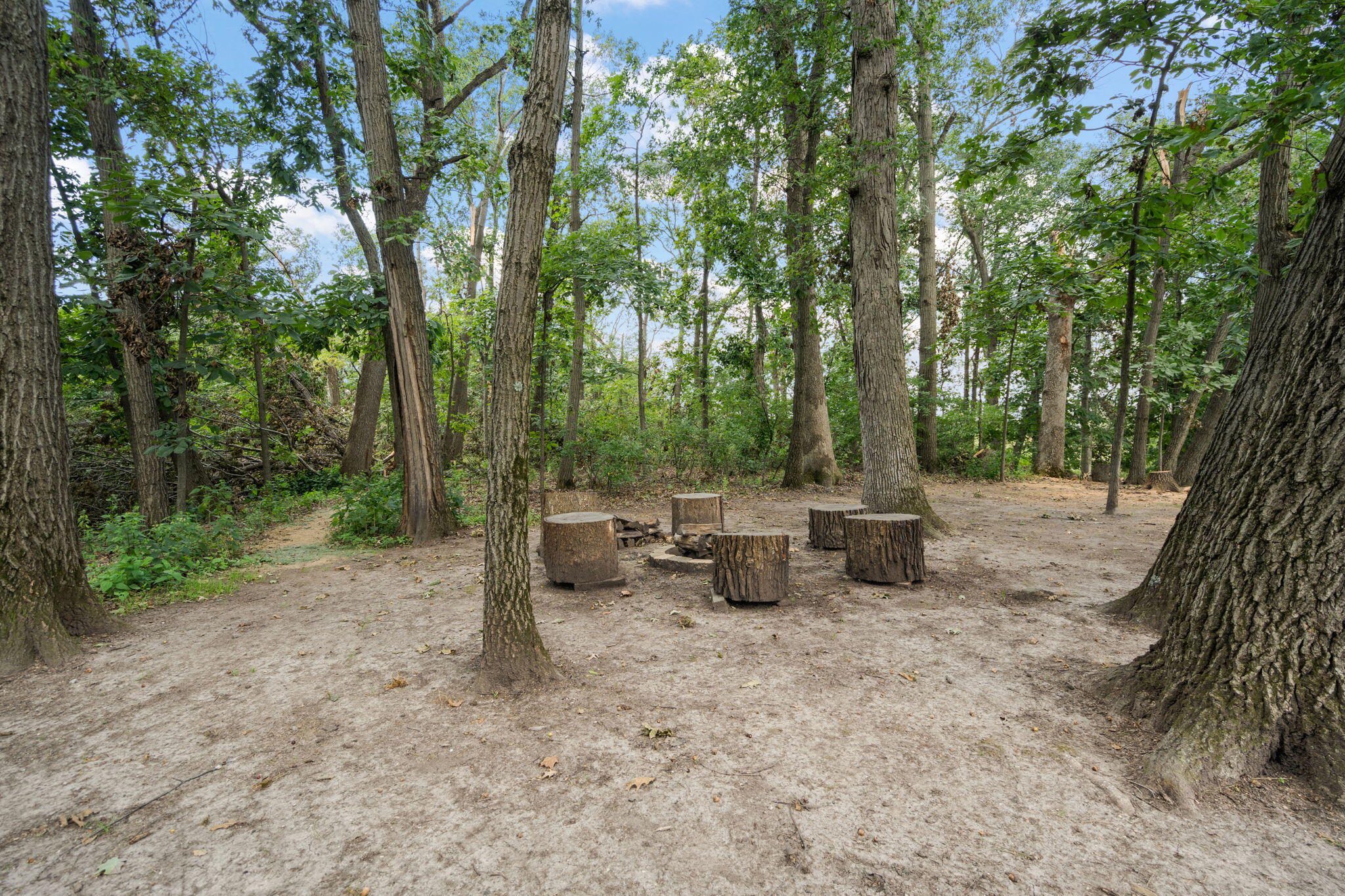 12825 Rosewood Drive, St. John, IN 46373; Image #64