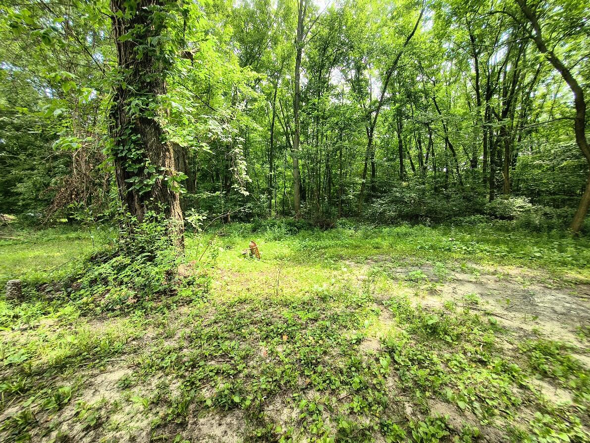346 E 900 N, La Porte, IN 46350; Image #5