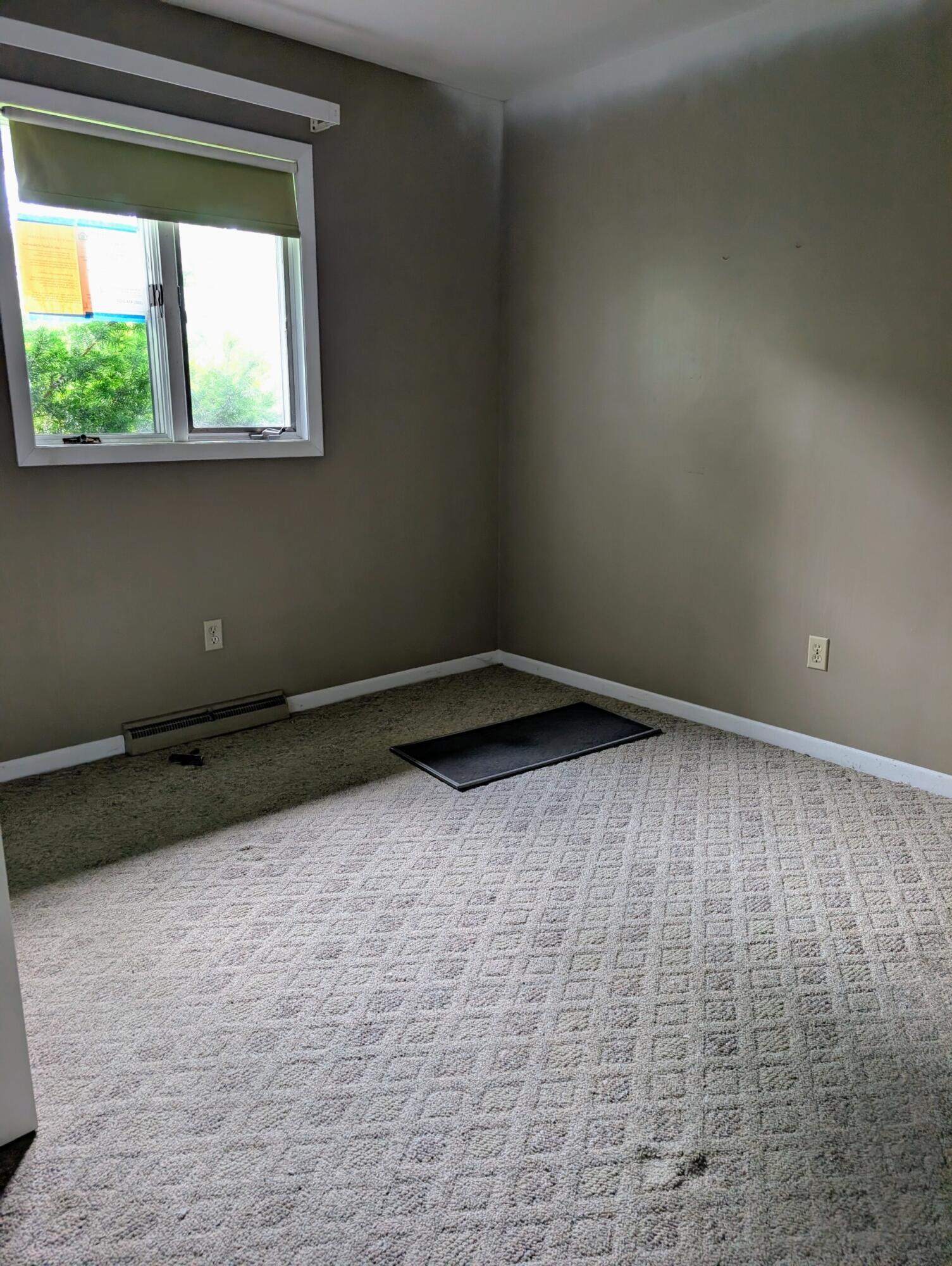 424 E Joliet Street, Crown Point, IN 46307; Image #7