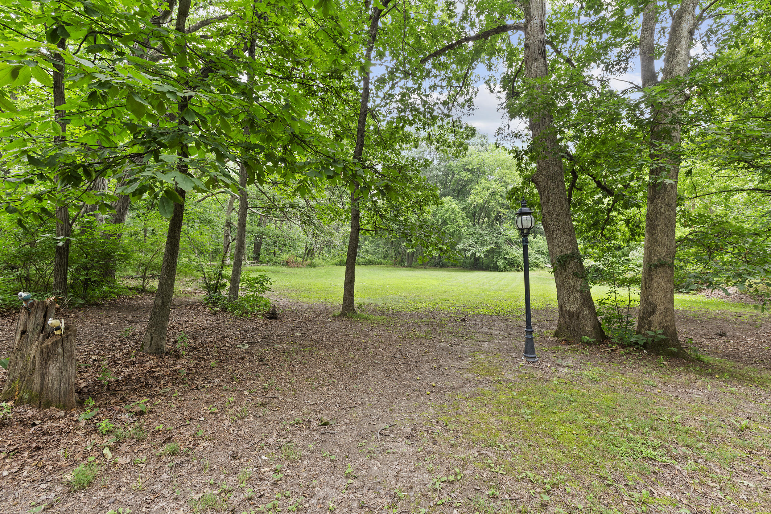 11458 Burr Street, Crown Point, IN 46307; Image #47