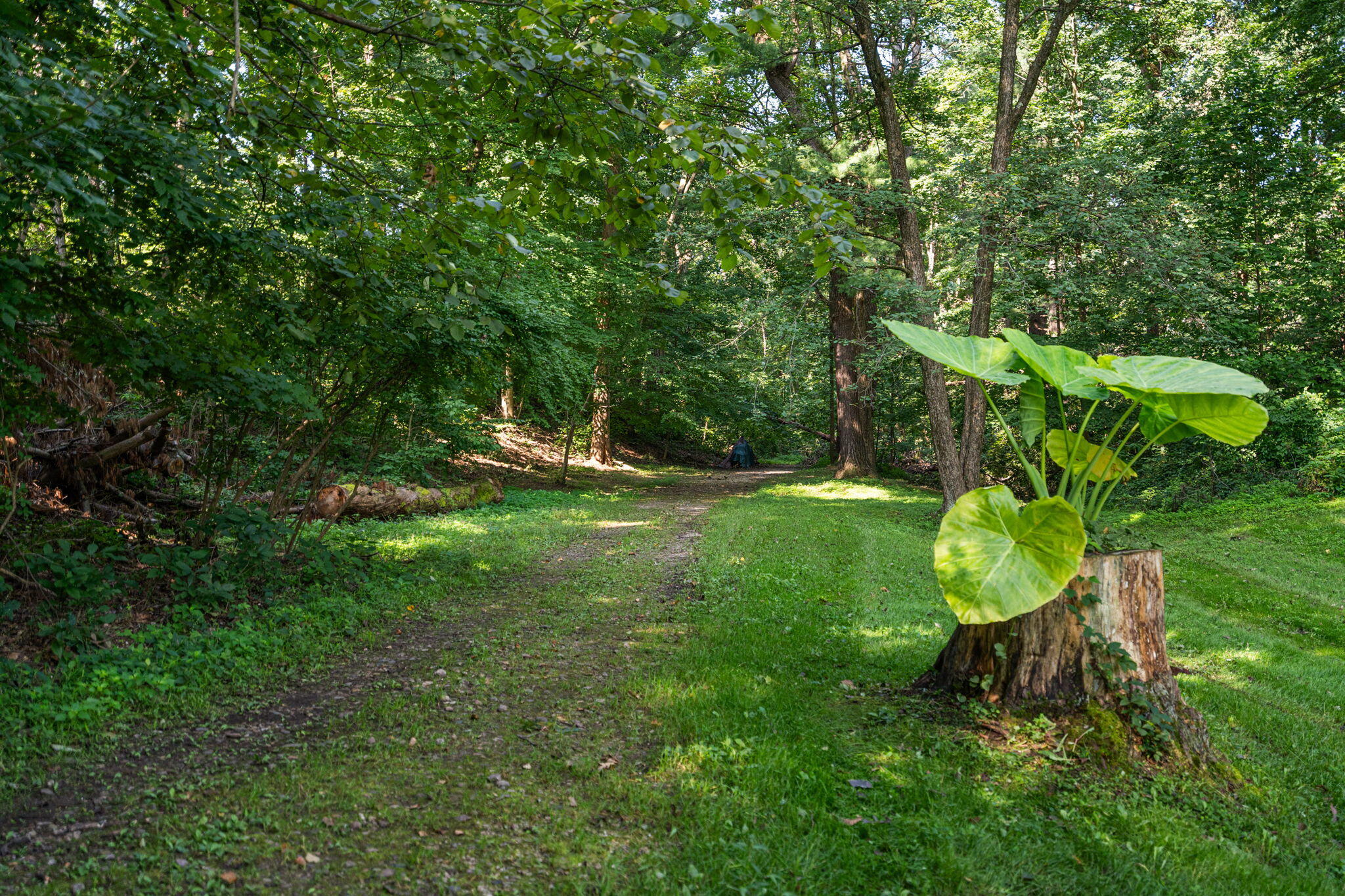 728 Old Suman Road, Valparaiso, IN 46383; Image #50
