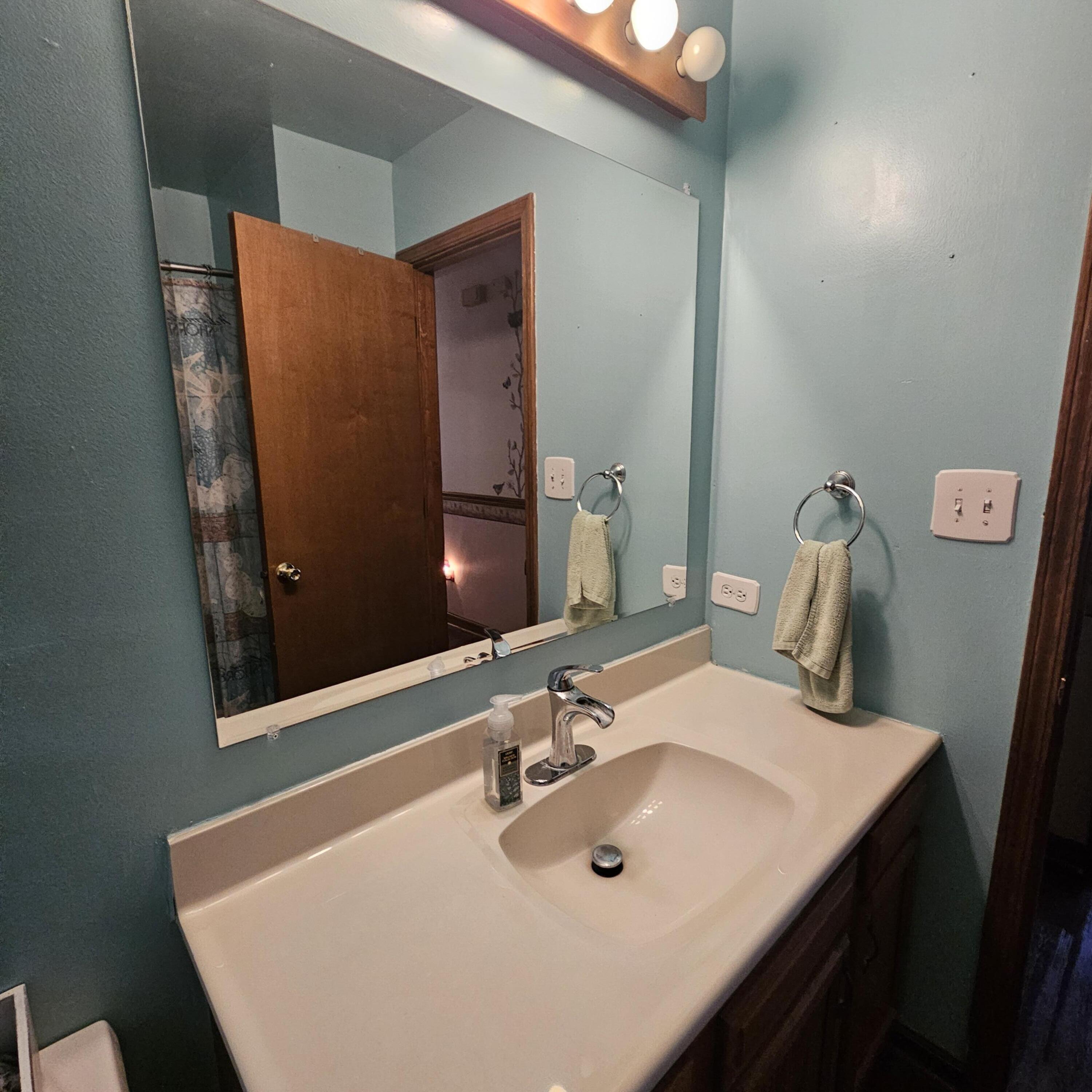 155 Plum Creek Drive, Schererville, IN 46375; Image #19