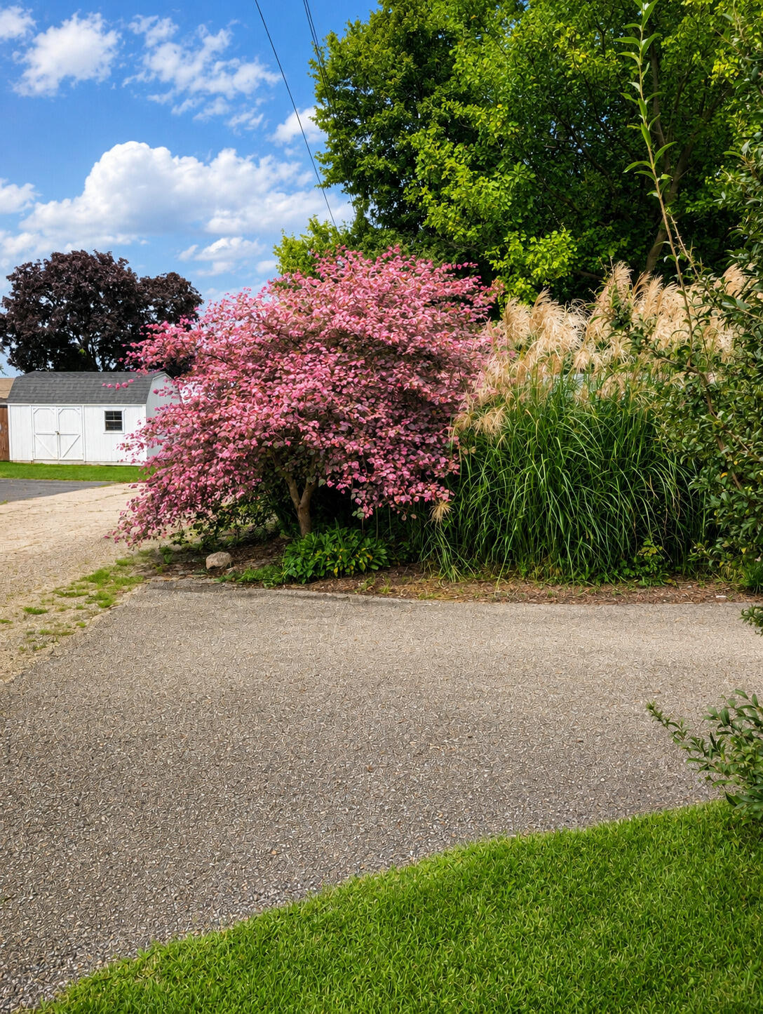 605 W Montgomery Street, Francesville, IN 47946; Image #12