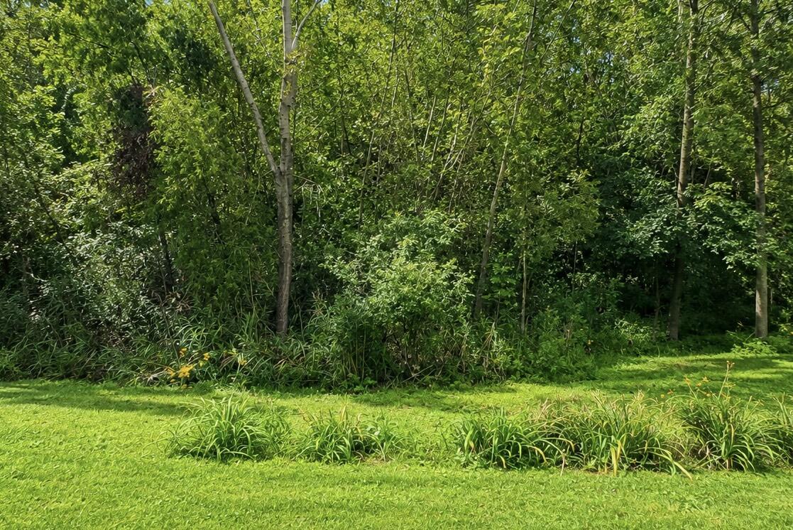 8733 Forest Glen Court, St. John, IN 46373; Image #28