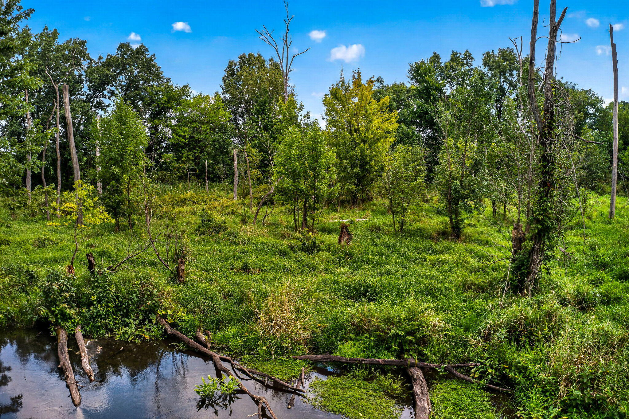 61519 Neaman Road, Constantine, MI 49042; Image #22