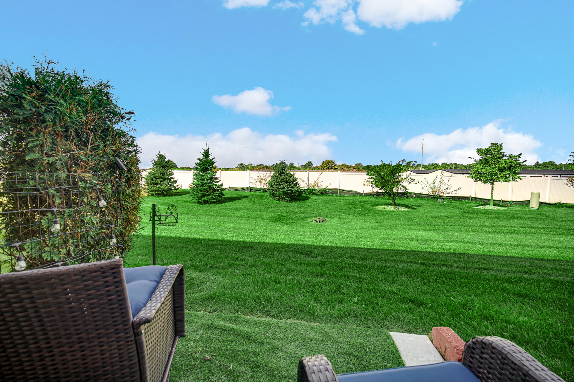 14124 Magnolia Street, Cedar Lake, IN 46303; Image #4