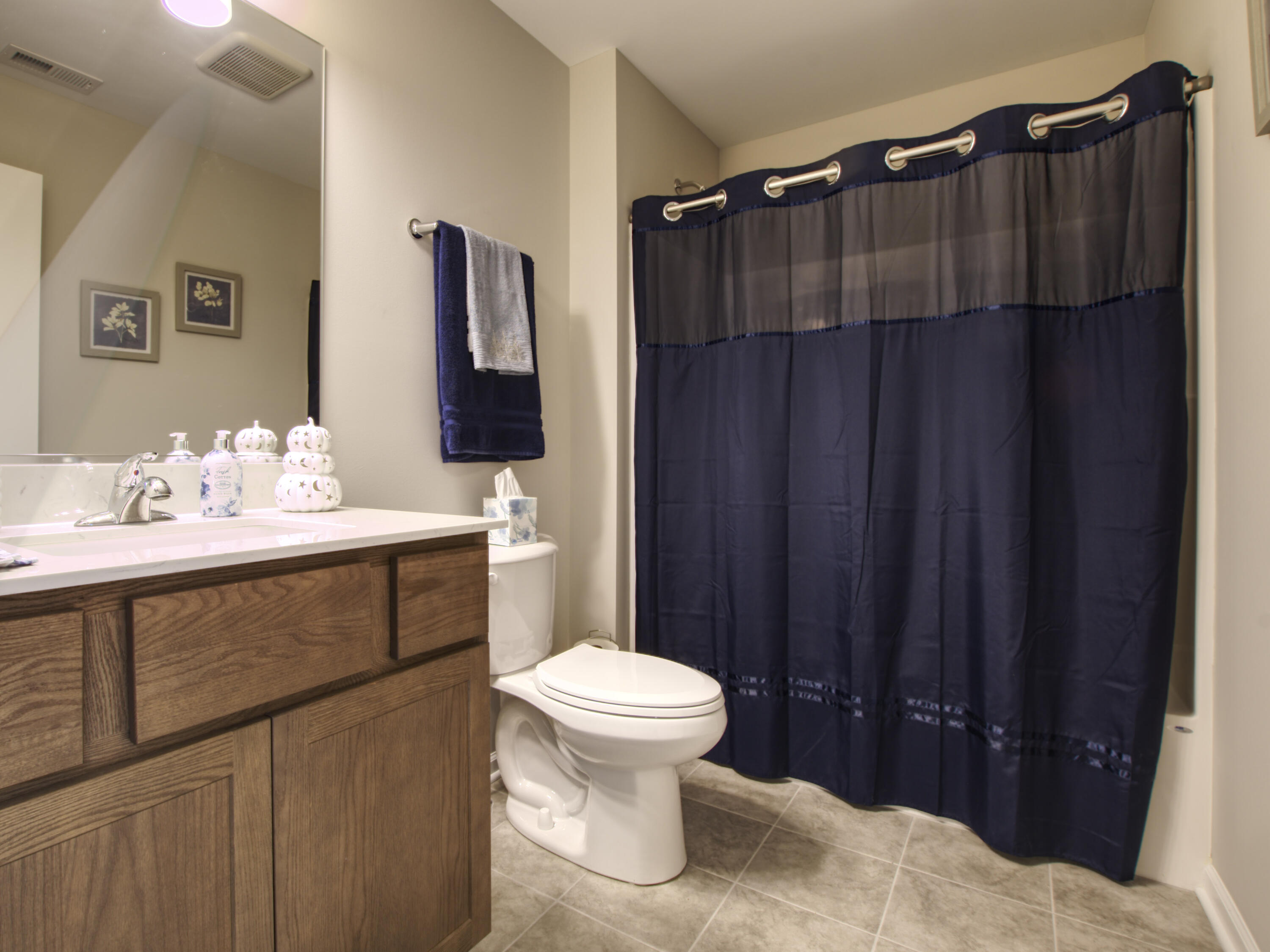 12769 Woodside Drive, Cedar Lake, IN 46303; Image #7