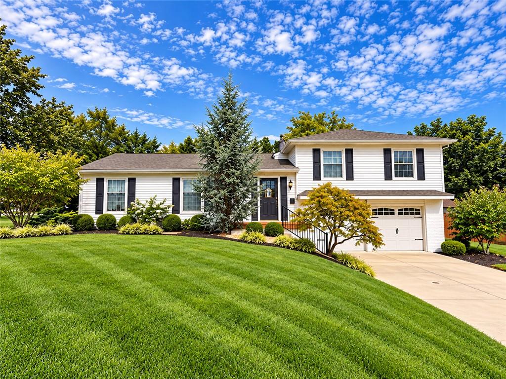 9643 Woodson Drive