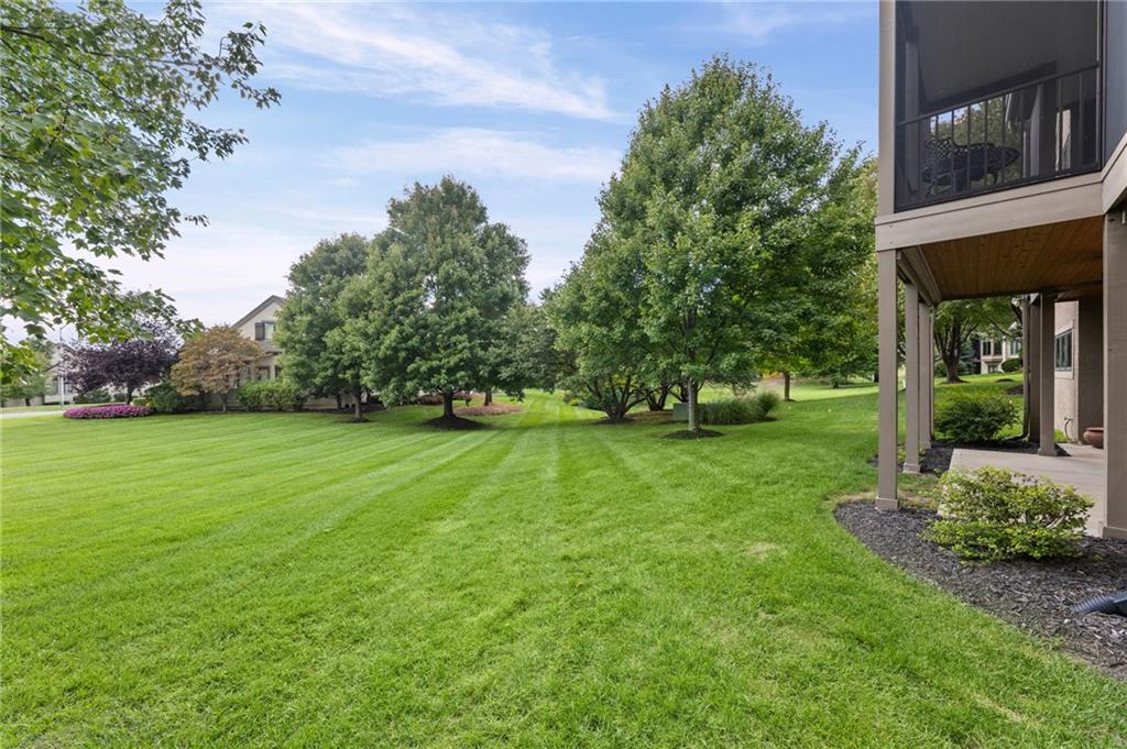 Thumbnail 33