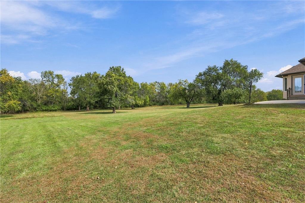 Thumbnail 31