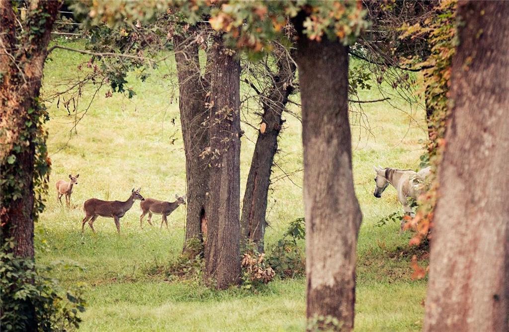 Thumbnail 77