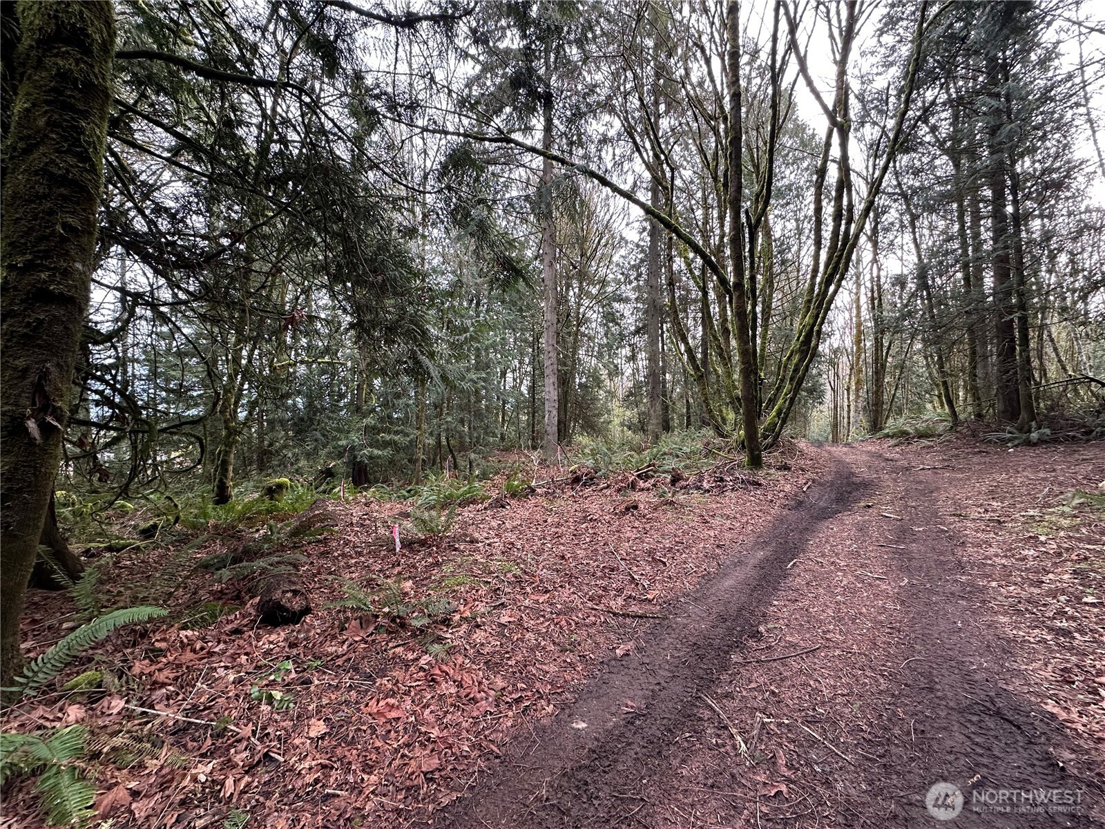 Property at 22 Lots Nevada Avenue E