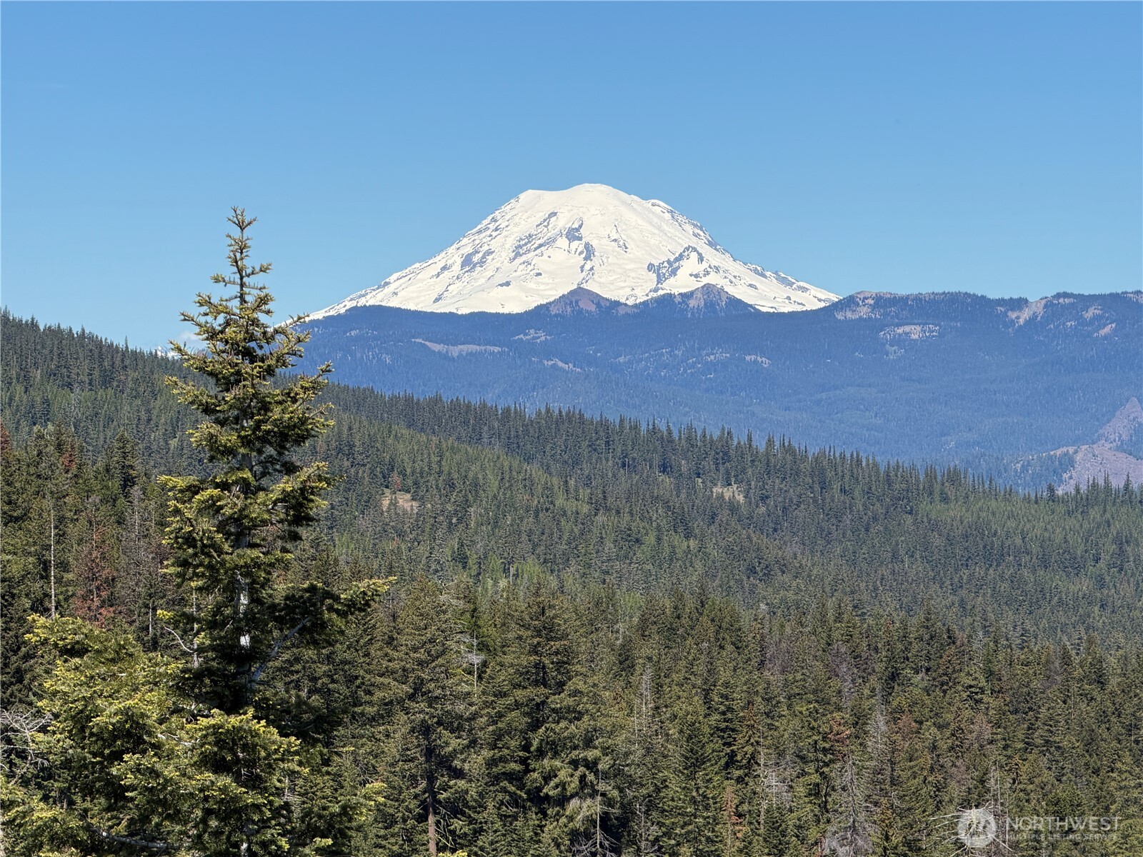 Property at 1524 Nasty Creek Road