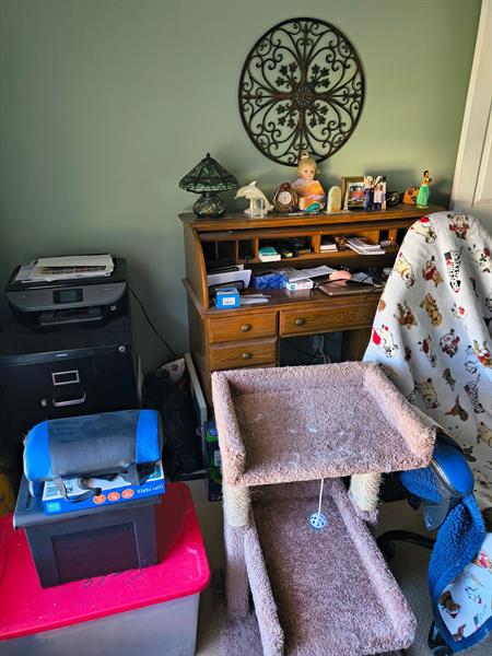 Photo 18
