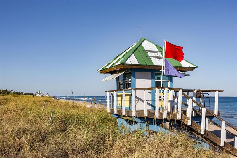Photo 44