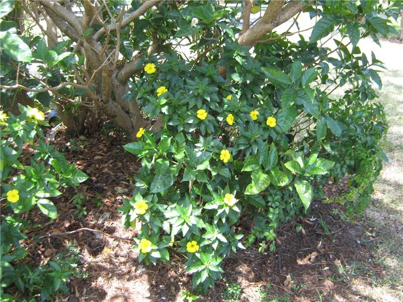 Photo 29