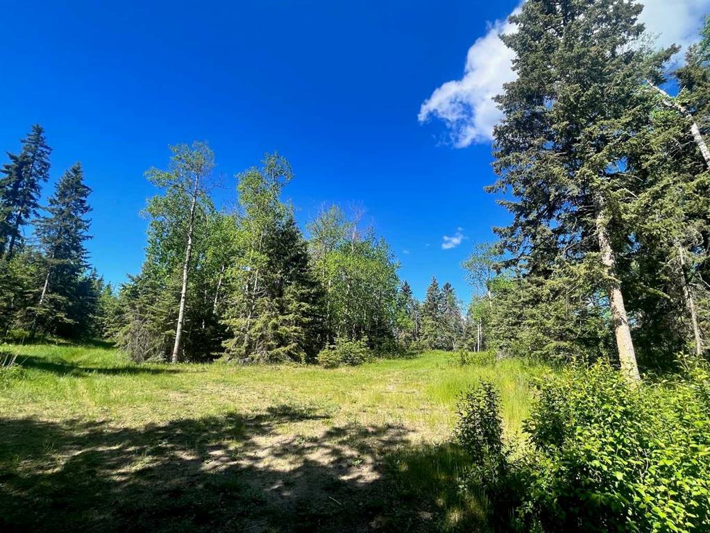 MLS# 228169956