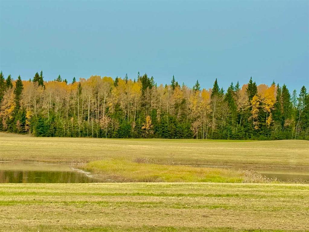 MLS# 234940456