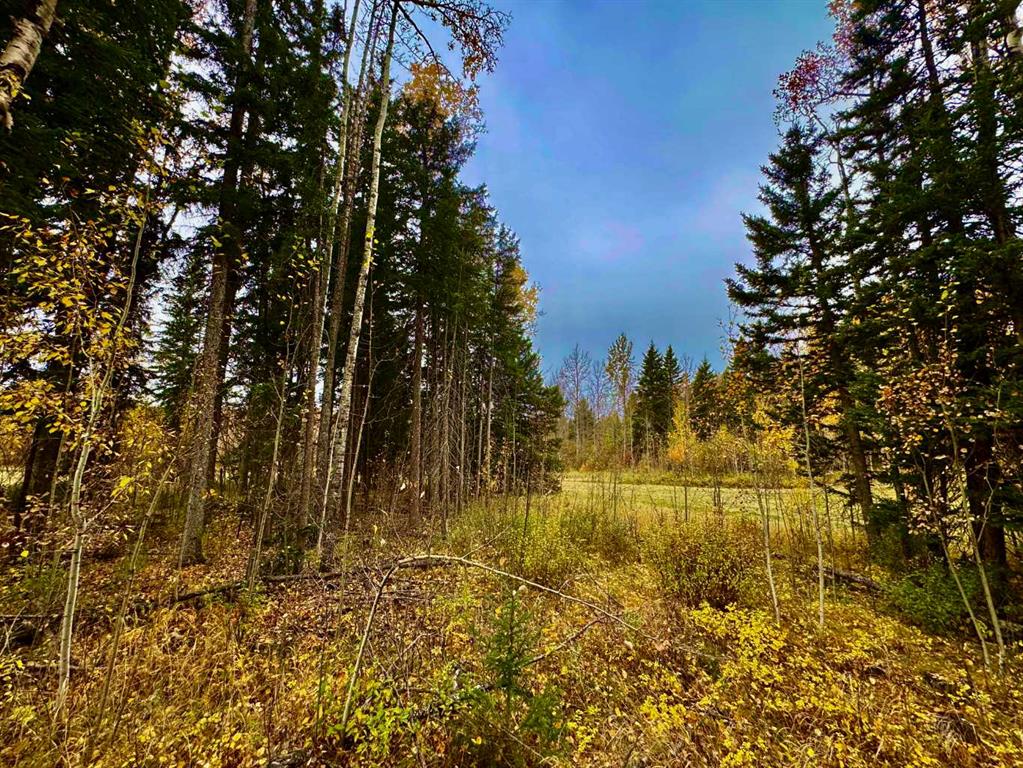 MLS# 234903664
