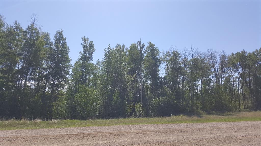 MLS# 235280885
