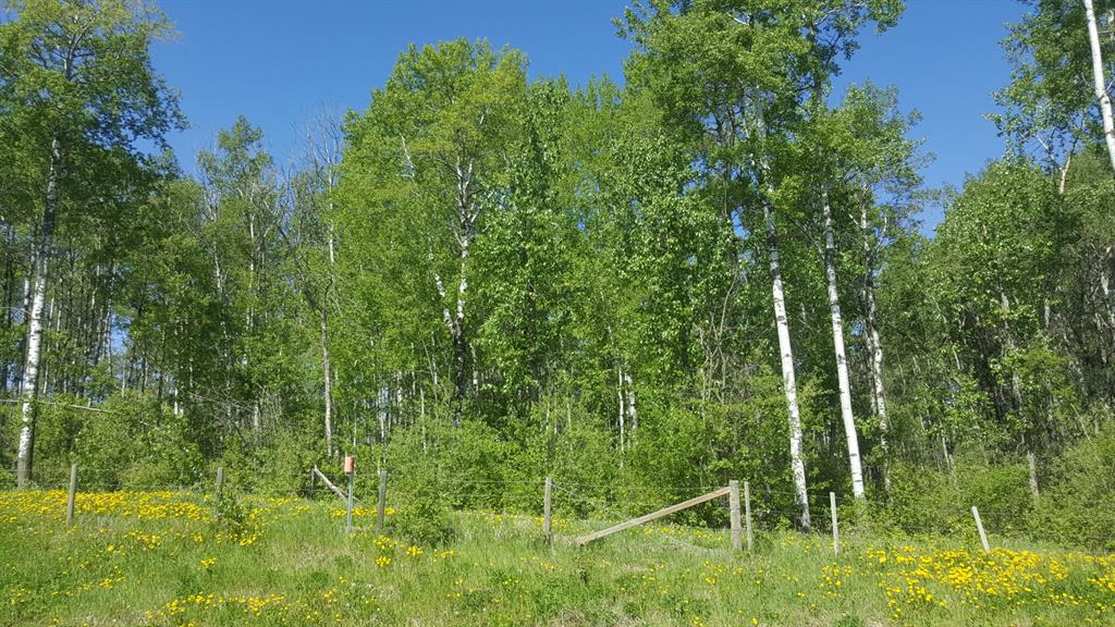 MLS# 235281951