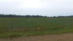 MLS# 236705371