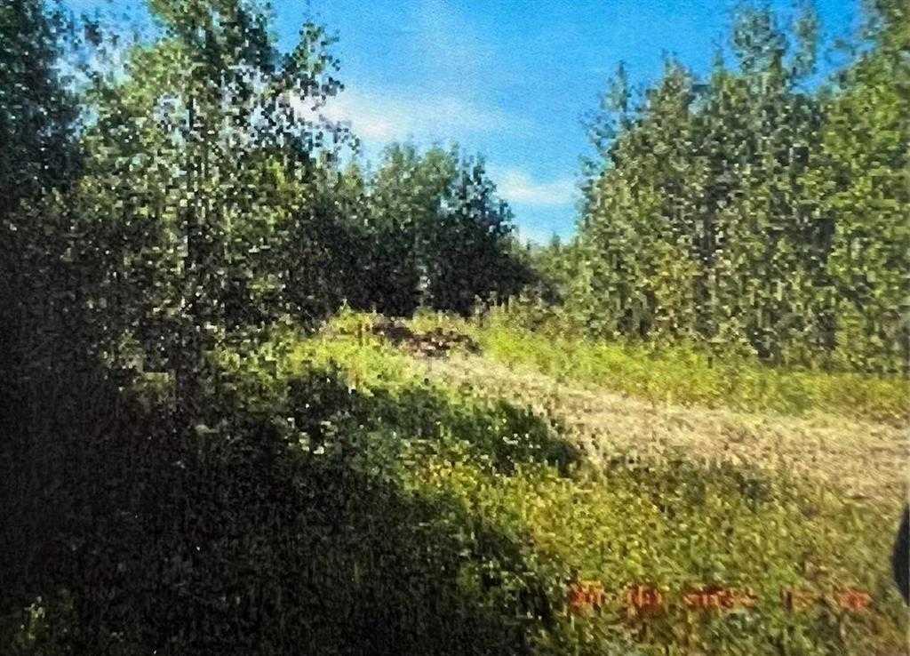 MLS# 237296397