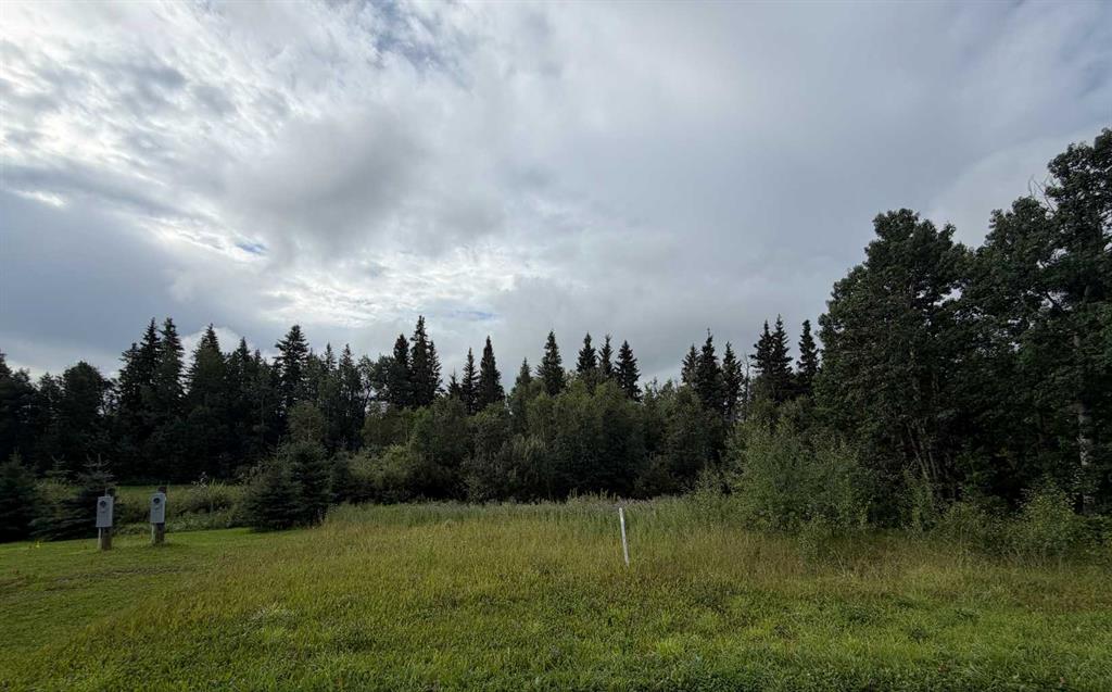 MLS# 237287068