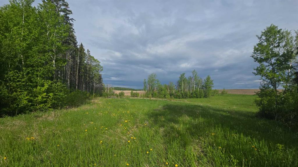 MLS# 240194883