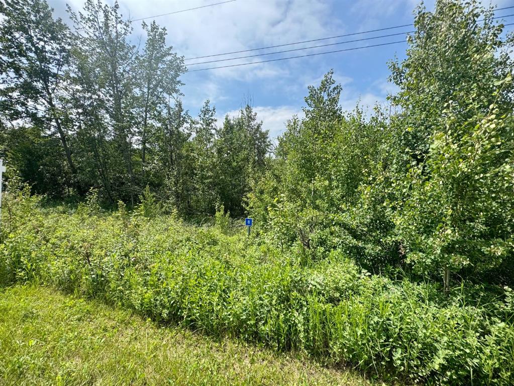 MLS# 240570864