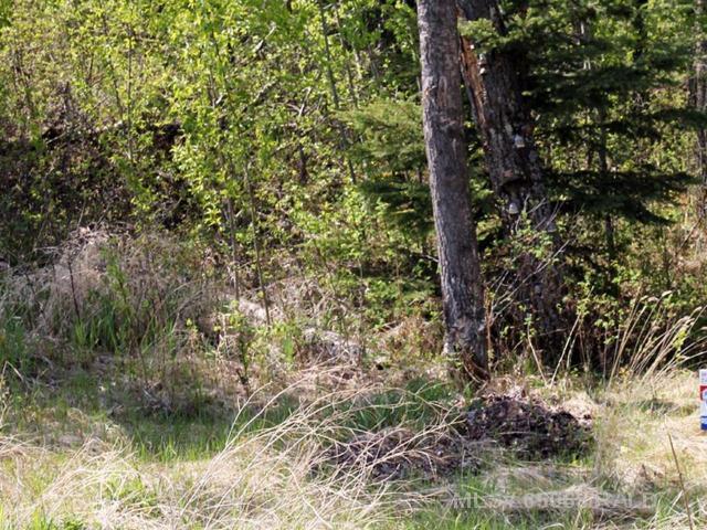 MLS# 246496489