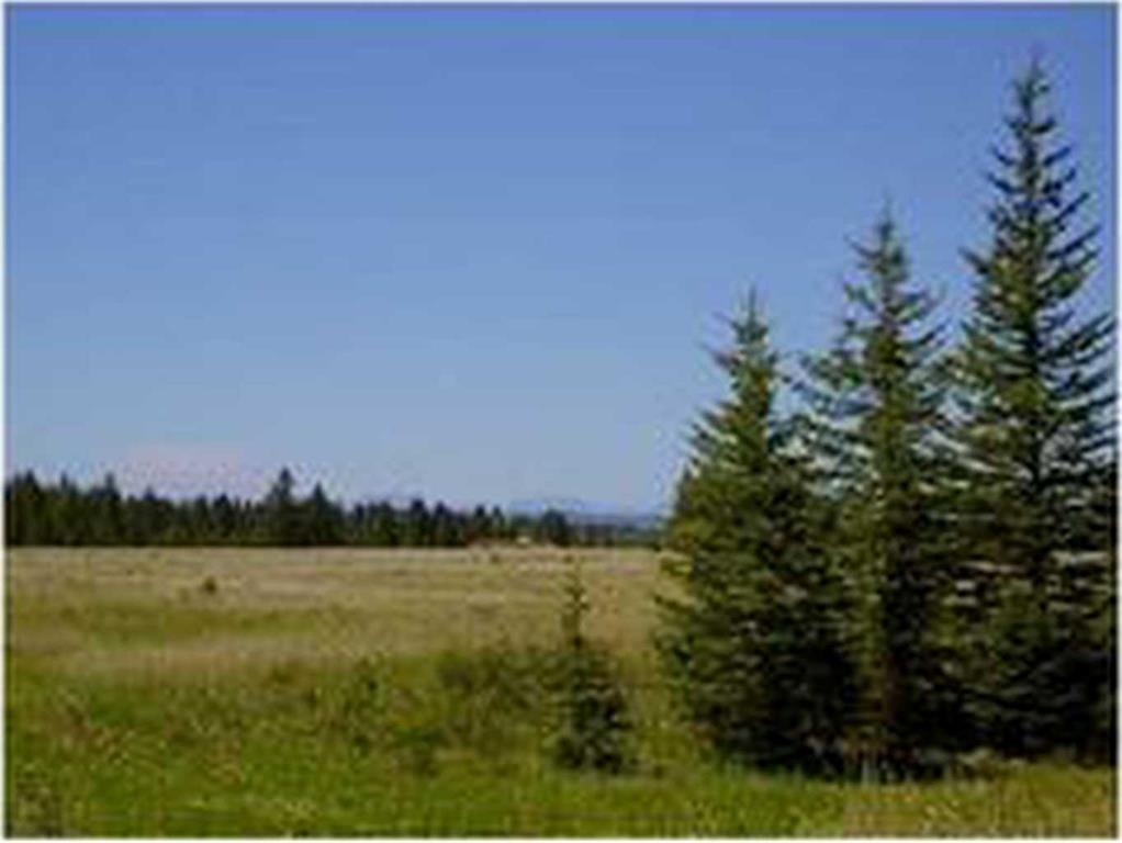 MLS# 246957703