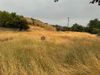 MLS# 215851125