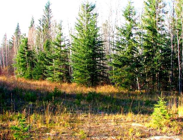 MLS# 220508808